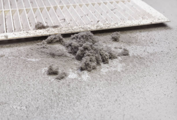 Best HVAC System Cleaning  in Buchanan, VA