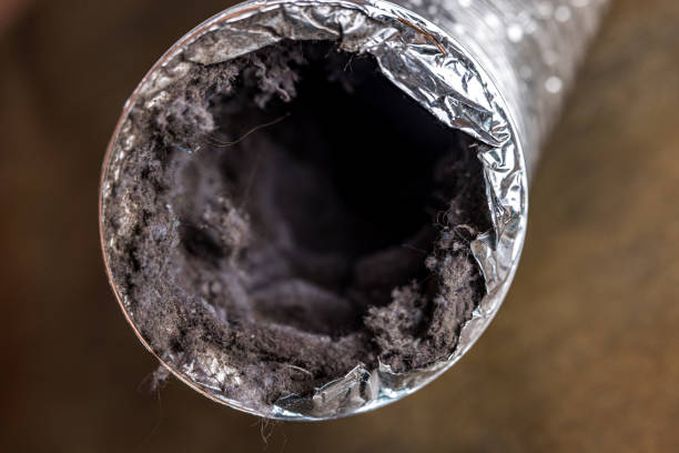 Best HVAC System Cleaning  in Buchanan, VA